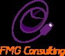 www.fmgconsulting.es